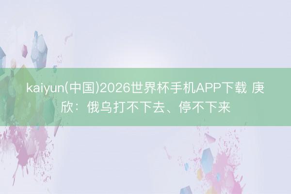 kaiyun(中国)2026世界杯手机APP下载 庚欣：俄乌打不下去、停不下来