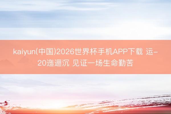 kaiyun(中国)2026世界杯手机APP下载 运-20迤逦沉 见证一场生命勤苦