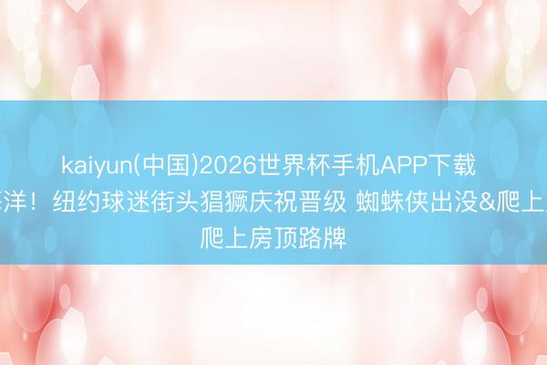 kaiyun(中国)2026世界杯手机APP下载 欢乐的海洋