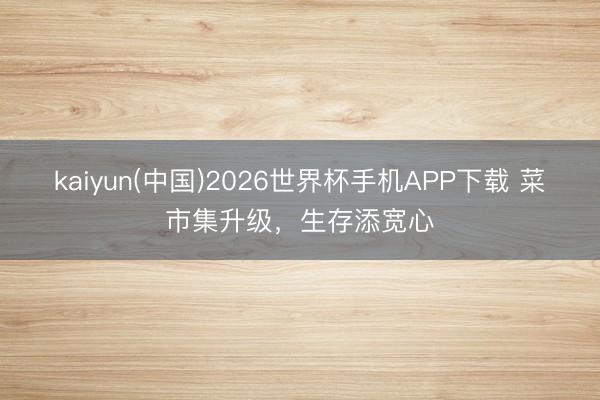 kaiyun(中国)2026世界杯手机APP下载 菜市集升级，生存添宽心