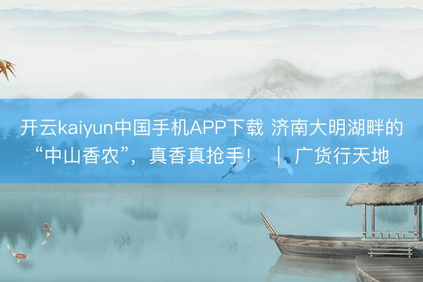开云kaiyun中国手机APP下载 济南大明湖畔的“中山香农”,真香真抢手! | 广货行天地